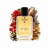 Nº 120 geïnspireerd op - LV Ombre Nomade