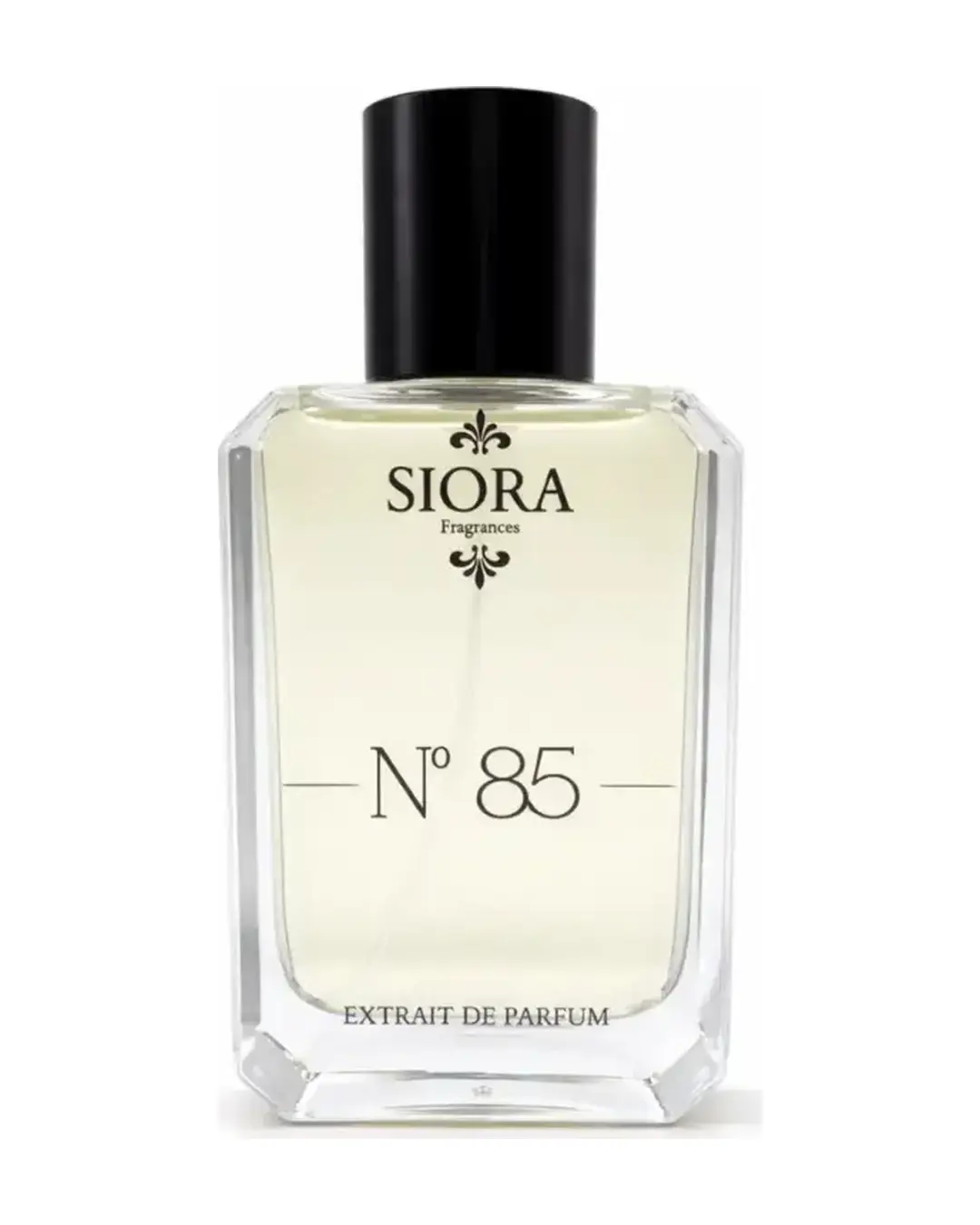 Noir Extreme Parfum